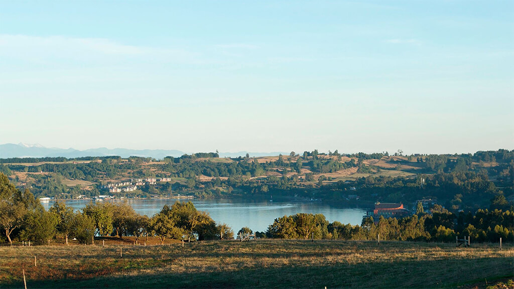 LOMAS DE SILESIA - GALERIA (13)