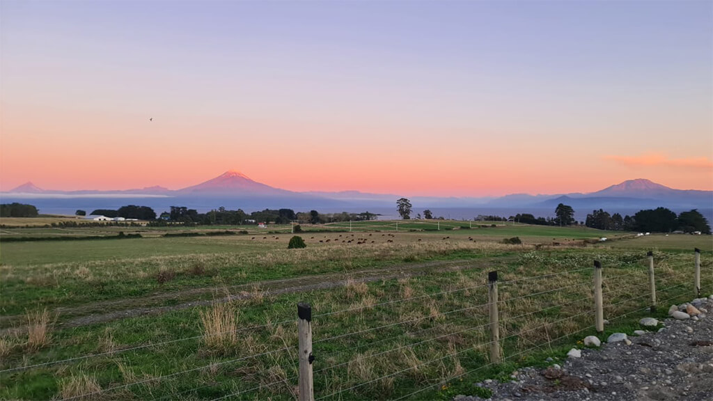 LOMAS DE SILESIA - GALERIA (9)